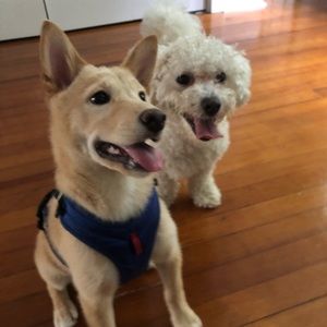 Meet your Posher, Natali